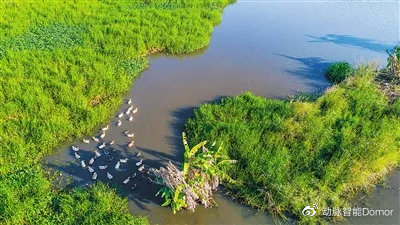 蓄洪防涝、建设海绵城市，保护利用湿地不能忘记