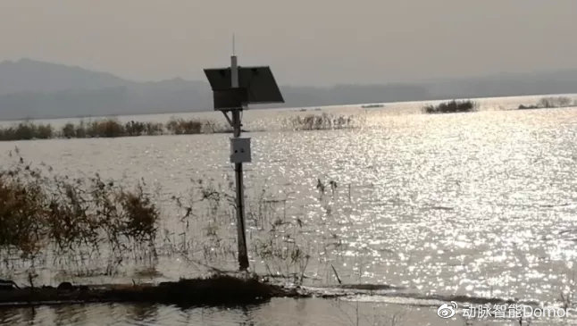 蓄洪防涝、建设海绵城市，保护利用湿地不能忘记